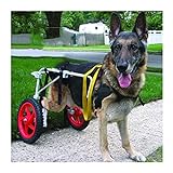 KHUY Rollstuhl für Große Hunde Hunderollstuhl Hintere Extremitäten Pet...
