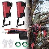 TTLIFE Baumklettern Ausrüstung, Tree Climbing Spike Set mit 2 Gängen und...
