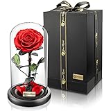 YourRoses® echte Premium Rose im Glas mit Einer wunderschönen Geschenkbox...