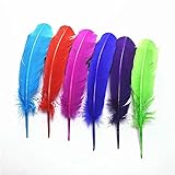 10 teile/los Türkei Weiße feder 25-30cm DIY fasan federn für handwerk...