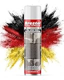 BRESTOL® ÖLFLECKENTFERNER SPRAY 400 ml Sprühdose - Ölfleckenentferner...