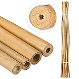 Relaxdays Bambusstäbe 150cm, aus natürlichem Bambus, 25 Stück,...