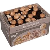 Hawlik Pilzbrut I Großes 10kg Stein-Champignon Pilzzuchtset XXL I Pilze...