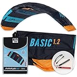 Wolkenstürmer® Paraflex Basic 2-Leiner Lenkmatte 1.2 (türkis) - Kite...