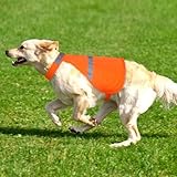 Warnweste Hund mit reflektierenden Elementen für Outdoor Aktivitäten Tag...