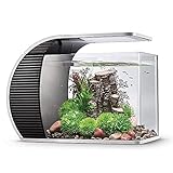 hygger LED Glasaquarium-Set 19 Liter, Panoramaaquarium geschwungene...