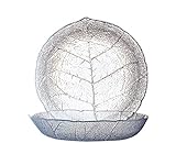 Luminarc ARC 10365 Aspen Teller tief, 20.5cm, Glas, transparent, 6 Stück