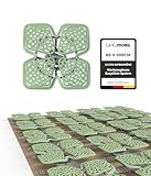 GROMOBIL® EasyClick Unterfederung – Tellerfeder Bettsystem für...