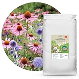 Schicker Mineral Diabas Urgesteinsmehl sandig 25 kg, Lava Gesteinsmehl 0-2...