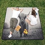 JiangGgen 200 x 200 cm tragbare Picknickmatte, wasserdichte...