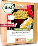 Cistus Tee - Cistus incanus Tee - Bio Zistrosenkraut geschnitten (1000g)