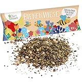 Bienenwiese Blumenmischung: 100g Premium Bienen Saatgut für bunte...