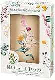 moses. Blatt & Blüte - Blumenpresse, Blatt- und Blütenpresse für DIY-...