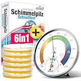 Schimmeltest + Thermohygrometer: Zum Check der Schimmelbelastung für bis...
