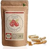 SPINTZ® 210 Stk. Bio Hagebutten Kapseln - vegane Hagebutten Kapseln...