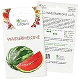 Wassermelone Samen: Premium Melone Samen für ca. 5x Wasser Melone Pflanzen...