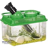 EDUPLAY 150122 Explorer Box, 16 x 9,5 x 10,5 cm, klar/grün/schwarz