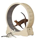 Katzenlaufrad Laufrad für Katzen, Laufrad Katze, 90cm-Laufband mit...