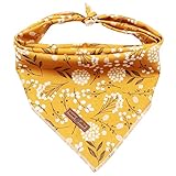 Lionet Paws Hunde Bandana Kopftücher Hundehalstuch Dreieckstuch für...