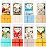 SNOWSEN Sommer Duftwachs für Duftlampe, Natürliches Wax Melts Sojawachs...