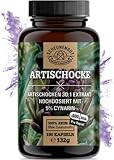 Artischockenextrakt -2400mg Tagesdosis MIT 5% Cynarin- WICHTIG: 30:1...