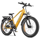 ENGWE E Bike Mountainbike Elektrofahrräder, Ebike 48V 16Ah Akku bis 150km,...