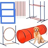 Agiles Hundetrainings-Hinderniskurs-Set mit Tunnel, Reifensprung, Hürde...
