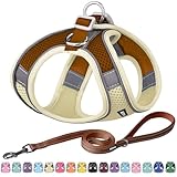 AIITLE No Pull Hundegeschirr, Step in einstellbares Hundegeschirr mit...