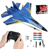 RNPKZ F-22 RC Flugzeug, 2.4Ghz 2 Kanal Flugzeuge Ferngesteuert mit Gyro...