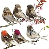 xlwen Künstliche Vögel mit Federn und Clip, 6 Stück, Braun, Klassisch,...