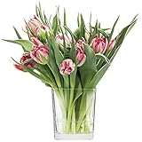 TREND FOR HOME Vase für Blumen Pflanzenglas Pflanzenterrarium...