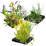vdvelde.com - Pflanzeninsel Trio - - 3x schwimmende Insel: 25x25x5cm - 12...