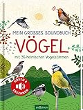 Mein großes Soundbuch Vögel: Mit 35 heimischen Vogelstimmen |...