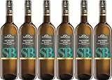 Remstalkellerei Sauvignon Blanc 'SB' 2024 Feinherb (6 x 0.75 l)
