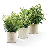 Zlesso Künstliche Pflanzen im Topf, kleine Eukalyptus-Kunstpflanzen,...