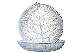 Luminarc ARC 10373 Aspen Puddingteller, 14,5 cm, Glas, transparent, 6...