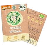 BIO Kopfsalat Samen, 200 Salat Samen, hohe Keimrate, Demeter zertifiziert &...