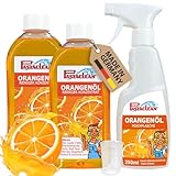 Pastaclean® Orangenreiniger Konzentrat 2x 500 ml | Universalreiniger |...