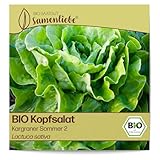 Samenliebe BIO Kopfsalat Samen Kargraner Sommer 2 süß nussiger...