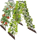 Rankgitter für Tomaten & Gurken, 2 Stück 150cm-Metall Pflanzenständer...