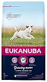 Eukanuba Welpenfutter mit frischem Huhn für kleine Rassen, Premium...