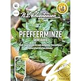 Pfefferminze Mehrjährig Samen, Saatgut
