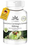 Garcinia Cambogia Extrakt 500mg - 100 Kapseln Tamarinde - standardisiert...