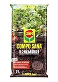COMPO SANA Bonsaierde mit 8 Wochen Dünger, Erde für alle Zimmer- und...