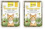 GimCat Hydro-Gras - Frisches Katzengras aus kontrolliertem Feldanbau in nur...