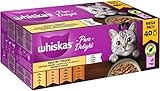 Whiskas 1+ Katzennassfutter Ragout Geflügel Auswahl in Gelee, 40x85g (1...