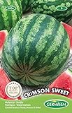 Wassermelone Crimson Sweet Mehrfarbig