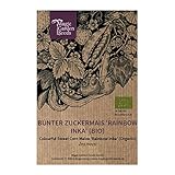 Bunter Zuckermais 'Rainbow Inka' (Zea mays) Bio