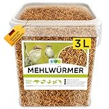 Mehlwürmer getrocknet 3L, Premium Insektensnack Vögel, Fische,...