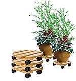 BigDean 3x Pflanzenroller rund Buchenholz massives Holz 30 cm bis 120 Kg...